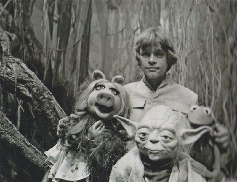 Illustration for article titled Las fotos perdidas del día en que Los Muppets visitaron Star Wars